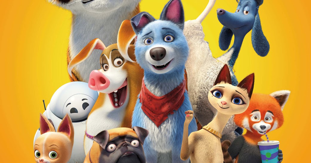 slomo pets united slomo pets united