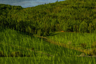 abstrakte Landschaftsfotografie Naturfotografie Mehrfachbelichtungen Doppelbelichtung Weserbergland Fotokunst