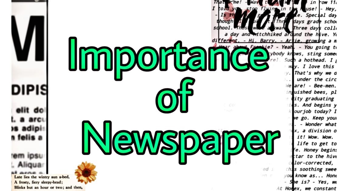 essay on news channel in english