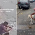 Cachorro faz xixi nas costas de rapaz e é adotado por ele e notícia viraliza nas redes sociais