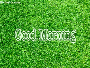These Best 99+ Good Morning Images will make your day These Best 99+ Good Morning Images will make your day