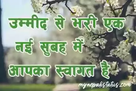 Good Morning Quotes In Hindi With Images Good Morning Quotes In Hindi With Images
