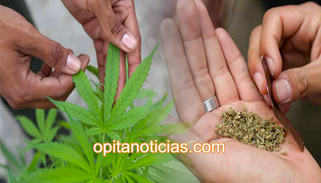 Congreso hunde proyecto que legalizaba el consumo de marihuana en Colombia. 
