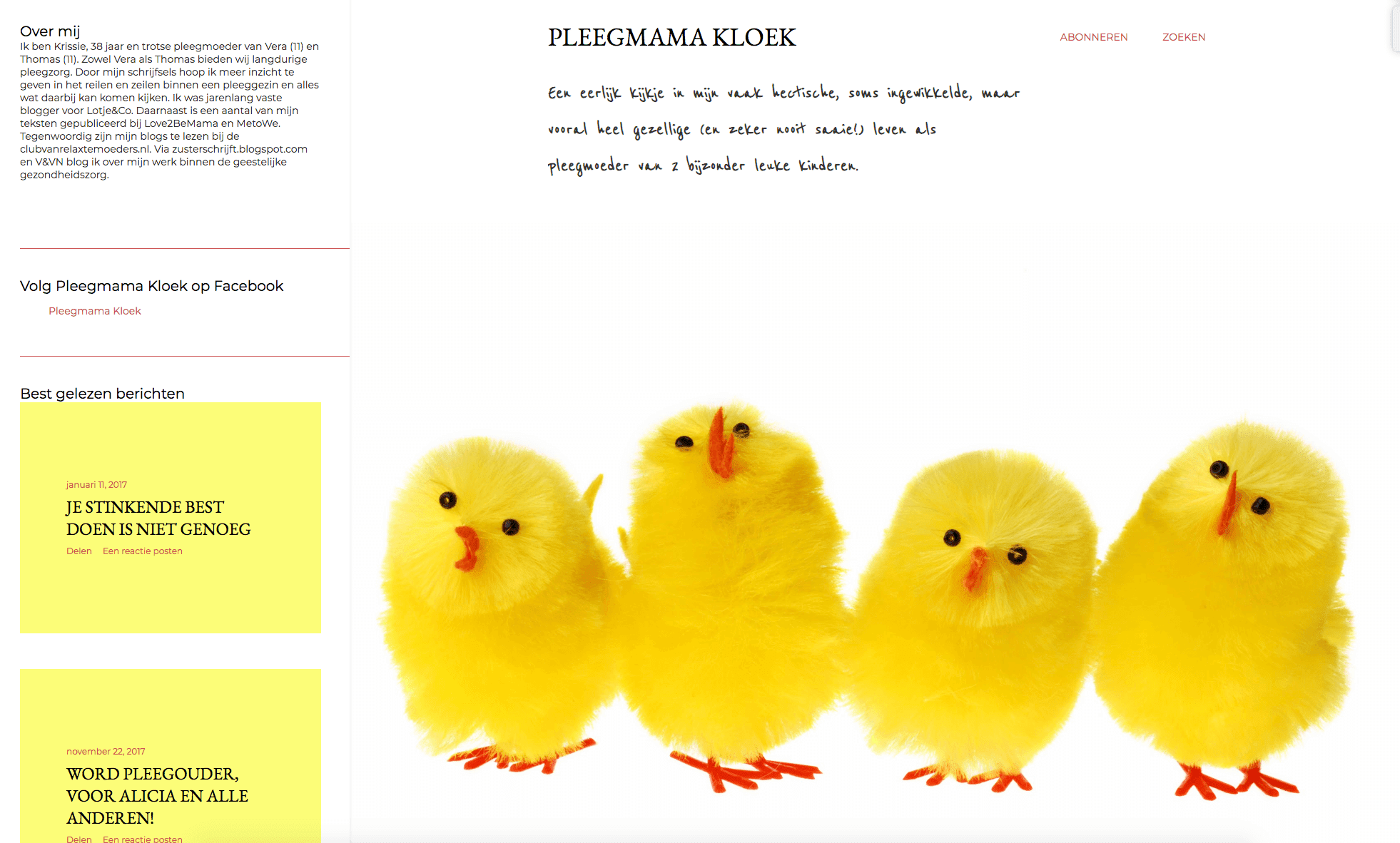 pleegmama kloek