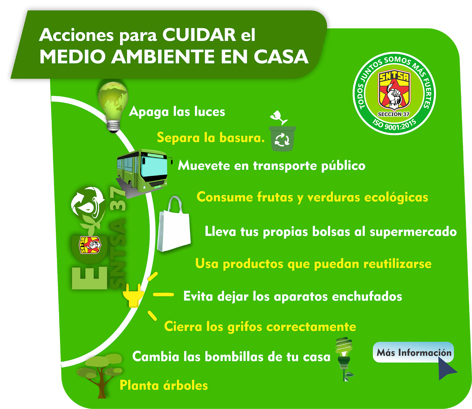 Ecosntsa 37 Acciones Para Cuidar El Medio Ambiente En Casa