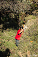 Καθαρίζοντας το αρχαίο λιθόστρωτο. Φωτογραφία από την πεζοπορία του ΟΠΣ Ικαρίας από το Στελί στον Κάμπο την Κυριακή 28/11/21