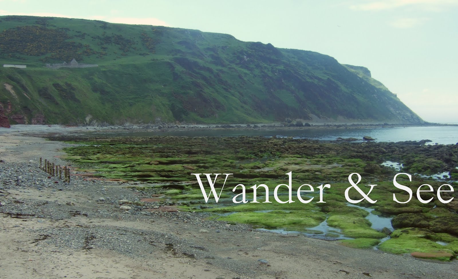 Wander & See 