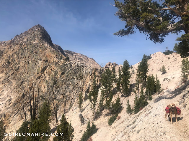 Backpacking the Alice Toxaway Loop & More, Sawtooth Mountains