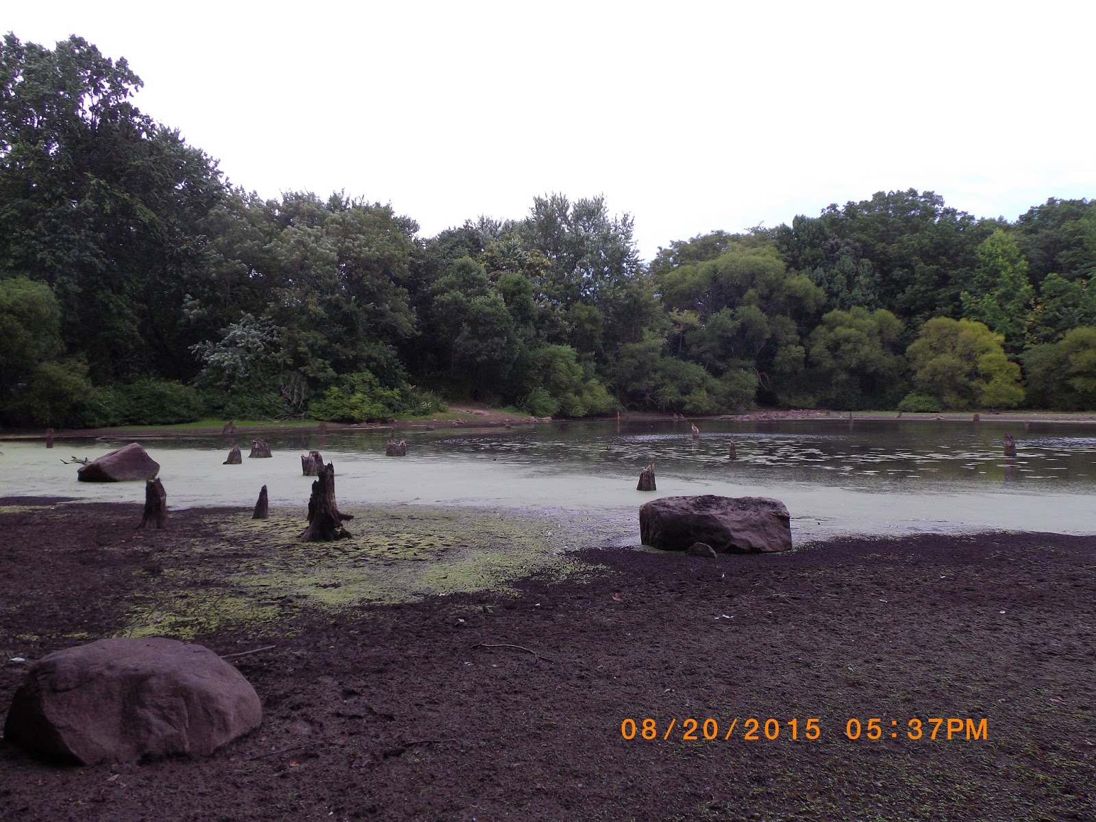 The Great Lakes of NYC Kettle Ponds fishing