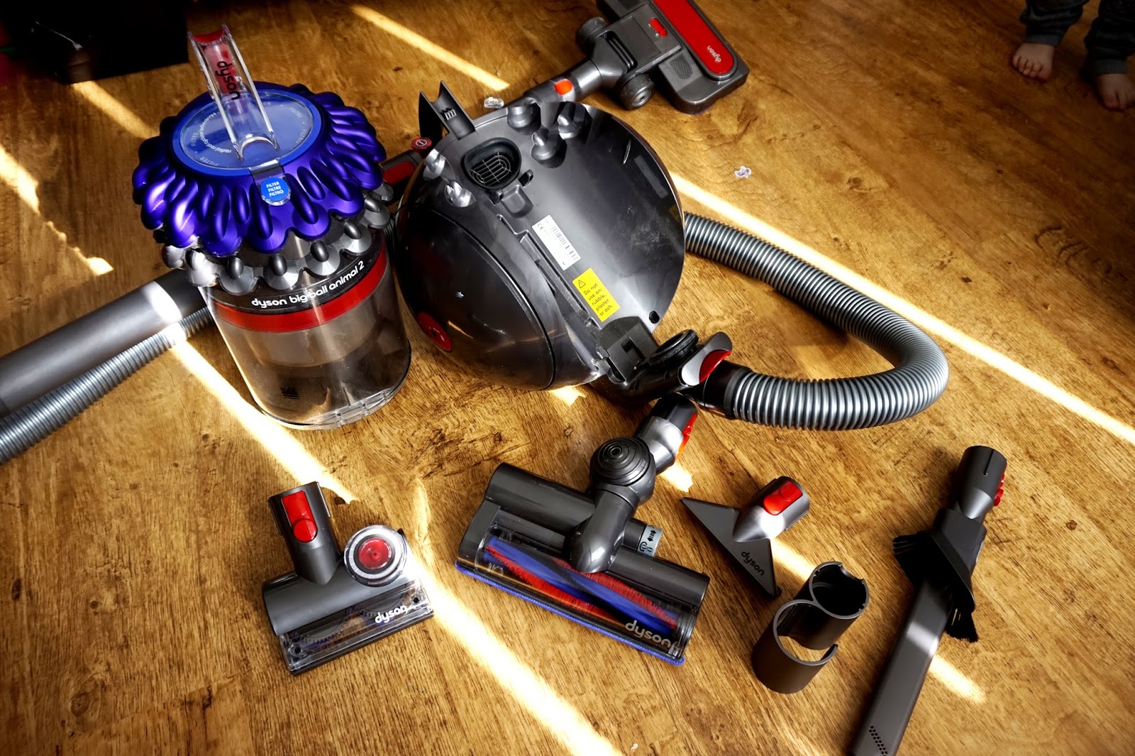 Dyson Big Ball Animal 2 Vacuum Cleaner Review Beth Owen