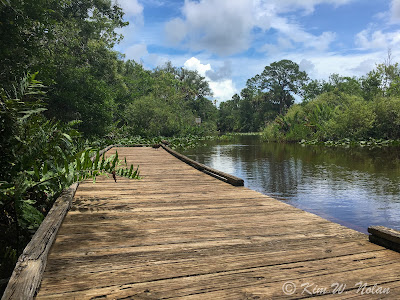 Canoe Launch