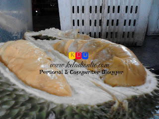 Mengidam Durian Musang King
