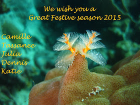 We wish you a great Festive Season
