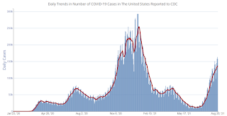 COVID-19 Positive Tests per Day