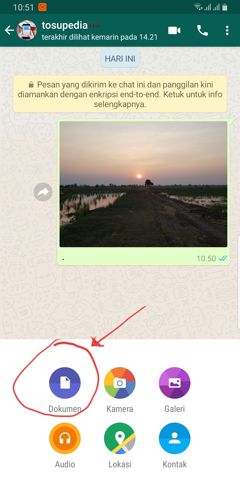 Cara Mudah Kirim Gambar/Foto Kualitas Tinggi di WhatsApp - TOSUTEKNO.COM