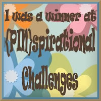 Winner at (PIN)spirational Challenges