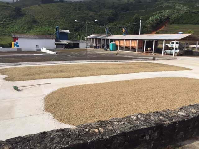 Clube do Café,seleção de outubro