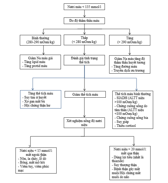 Sơ đồ chẩn đoán hạ natri máu 
