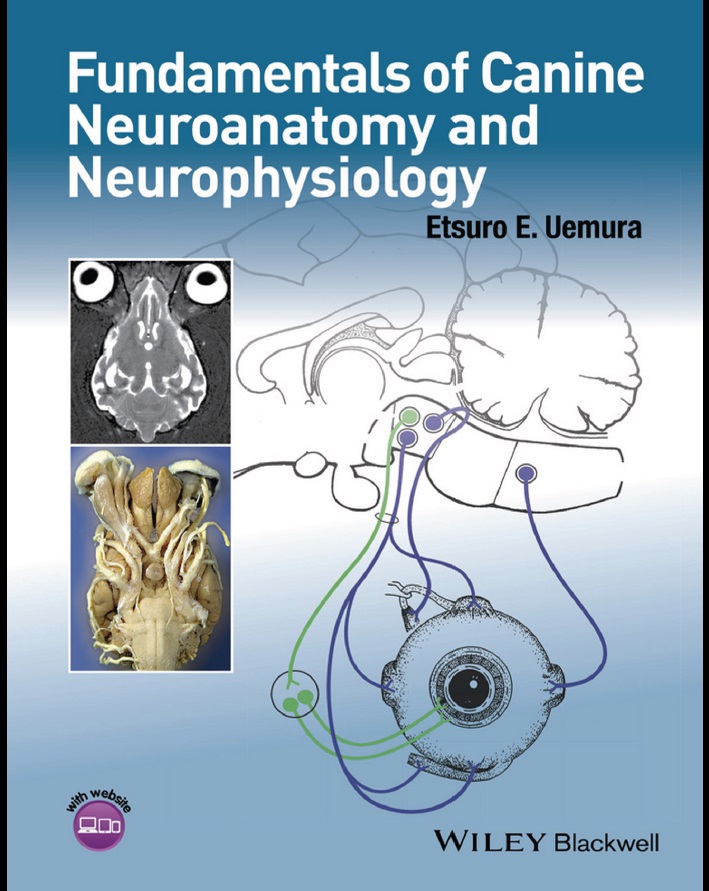 Fundamentals of Canine Neuroanatomy and Neurophysiology Fundamentals of Canine Neuroanatomy and Neurophysiology