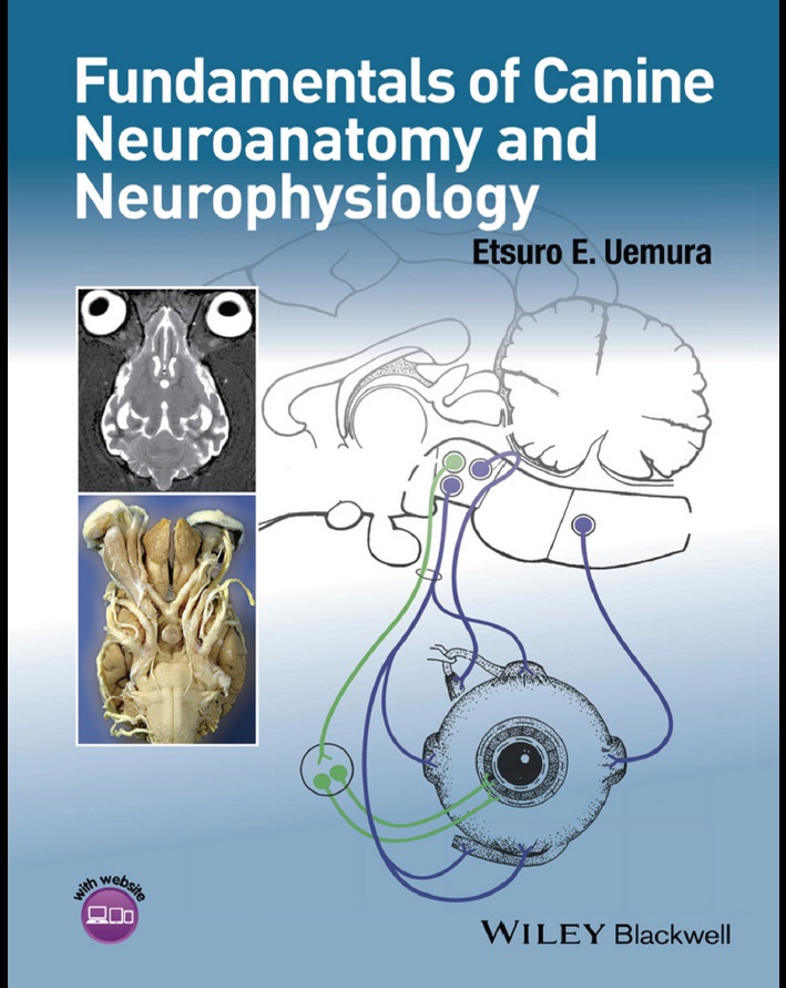 Fundamentals of Canine Neuroanatomy and Neurophysiology