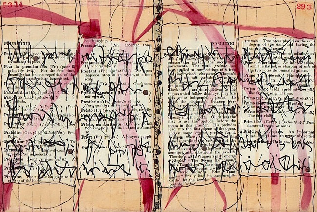Libros raros: Paginas extrañas y curiosas