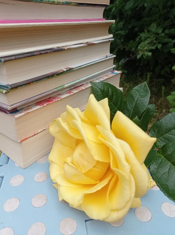 The Vince Review Roses in Literature
