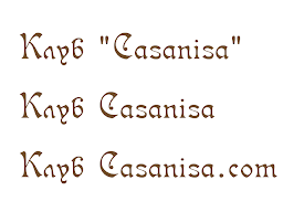 CASANISA.COM