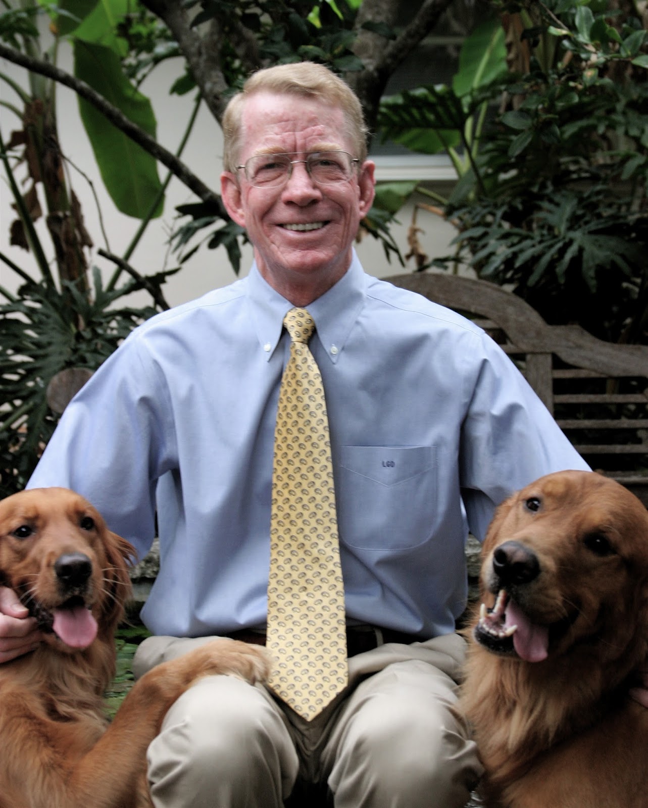 hollywood pet clinic