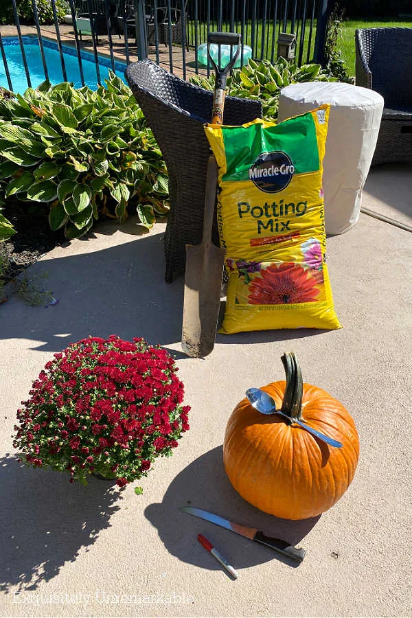 Bird Bath Pumpkin Planter Supplies