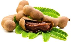 It is very difficult to find people who do not like tamarind. Its name is found at the top of the food list, especially for young women. However, many people think that eating tamarind is harmful to health and eating tamarind causes blood clots.  According to modern doctors, the idea that "tamarind makes blood water or tamarind is harmful to the brain" is completely wrong. Everything is as good and as bad. Similarly, tamarind has both good and bad or good and bad. In the summer it is much appreciated compared to other times. Both boys and girls can eat tamarind.  Not knowing the benefits of tamarind 1) Increases digestive energy and relieves constipation: If you want to solve problems like stomach ache or constipation, take the help of tamarind. Tamarind contains tartaric acid, malic acid and potassium which relieves constipation. In Ayurveda, tamarind leaves are still used to treat diarrhea. Also the bark and roots of the tamarind tree are used to relieve abdominal pain.  2) Controls diabetes: Tamarind seeds are able to control diabetes. It also keeps the blood sugar level right. It contains a type of enzyme called alpha-amylase that lowers blood sugar levels.  3) Lose weight: Tamarind has high levels of fiber and at the same time it is completely fat free. Studies have shown that eating tamarind daily reduces weight.  The presence of flavonoids and polyphenols works to reduce weight. Also its present hydroxycitric acid reduces hunger.  4) Prevents peptic ulcer: Peptic ulcers occur most often in the stomach and small intestine. These ulcers are very painful. Research has shown that regular consumption of tamarind seed powder cures peptic ulcer.  In fact, the polyphenolic compound present in tamarind heals ulcers.  5) Keeps the heart right: Tamarind is very heart friendly. The flavonoids present in it reduce bad cholesterol. Again, it does not allow triglycerides (a type of fat) to accumulate in the blood. The high potassium present in it helps in lowering blood pressure.  6) Prevents cancer: Tamarind has high levels of antioxidants that help prevent kidney failure and cancer.  7) Heals wounds: Tamarind leaves and bark are antiseptic and anti-bacterial. It helps to heal wounds.  8) Brightens the skin: Tamarind helps protect the skin from harmful ultraviolet rays. Tamarind is also useful for those who have acne.  The hydroxy acid present in tamarind also helps in exfoliation of the skin. This causes dead cells to rise and the skin to look brighter.  10) Helps to cure cold and cough: Tamarind has antihistaminic properties. Which in turn prevents allergies. Vitamin C present in it enhances the body's immunity.  11) Protects the liver: Tamarind also keeps our liver well. Studies have shown that regular consumption of tamarind leaves in high doses improves damaged liver.  Disadvantages of tamarind 1. In the case of certain medications that increase bleeding: Tamarind can increase the risk of bleeding and create serious health problems if taken with certain medications. Such drugs are being  => Aspirin, => Ibuprofen, non-steroidal anti-inflammatory drugs like Naproxen (NSAIDs), => Blood thinners (heparin, warfarin, etc.) => Anti-platelet drug (Clopidogrel)  If you take tamarind while taking these medicines, the level of absorption of them in the body will increase. They start doing a lot more work in the body and gradually more bleeding starts.  2. Hypoglycemia may occur Hypoglycemia is caused by eating too much tamarind, which lowers blood serum glucose levels. Nutritionists recommend taking 10 grams of tamarind daily.  Which should be 0.6% of regular diet. Taking more than this can cause glucose deficiency in the body.  So diabetic patients who take medication to lower blood sugar levels should be careful about this.  3. May cause allergic reactions The most common side effect of tamarind is allergy or hypersensitivity. For this reason, some people have symptoms like rash, itching, inflammation, fainting, vomiting or shortness of breath.  4. Destroys tooth enamel Tamarind is highly acidic in nature. So playing tamarind regularly can ruin tooth enamel. So eating extra tamarind is as bad for your health as it is for your teeth.  5. Helps in formation of gallstones Indian researchers have proven that frequent consumption of large quantities of tamarind helps in gallstones. This can lead to jaundice, high fever, abdominal pain, nausea, vomiting, digestive problems and liver problems.  6. Increases acid reflux: Tamarind is an acidic food so eating it increases the level of acid in our gastrointestinal tract, especially in the stomach. So if you suffer from acid reflux then you should avoid eating tamarind.     Also, if you are taking blood vessel contraction medicine, you should refrain from eating tamarind. This will make the blood vessels narrower. As a result, blood flow will be reduced and blood vessels may be completely blocked. Tamarind reacts with certain antibiotics. Since it acts as a laxative, refrain from taking tamarind if you have already taken a laxative.