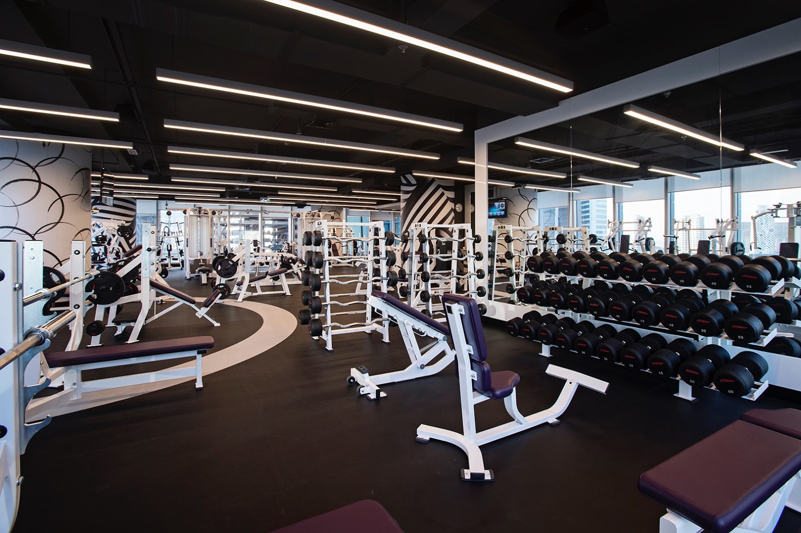 Best gym in Dubai Top 5 Reasons to Join Fitness Clubs in Dubai