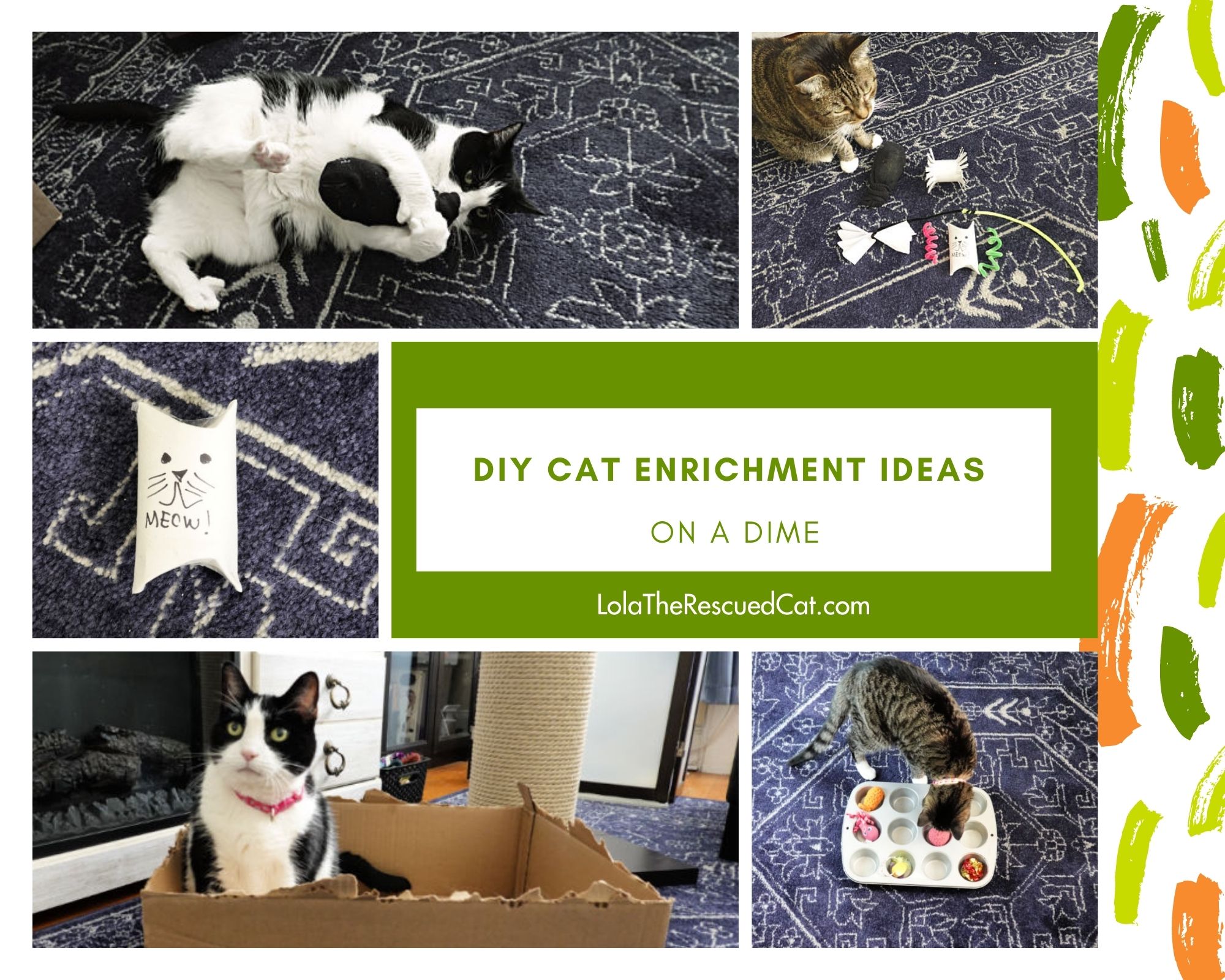 Six BudgetFriendly Enrichment Ideas for Your Cat Lola The Rescued Cat