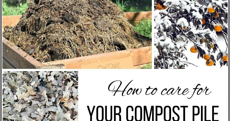 Here's how to start a compost pile this fall
