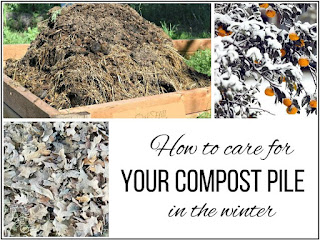 How to care for your compost pile over the winter.