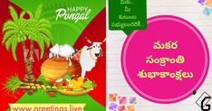 makar sankranti images