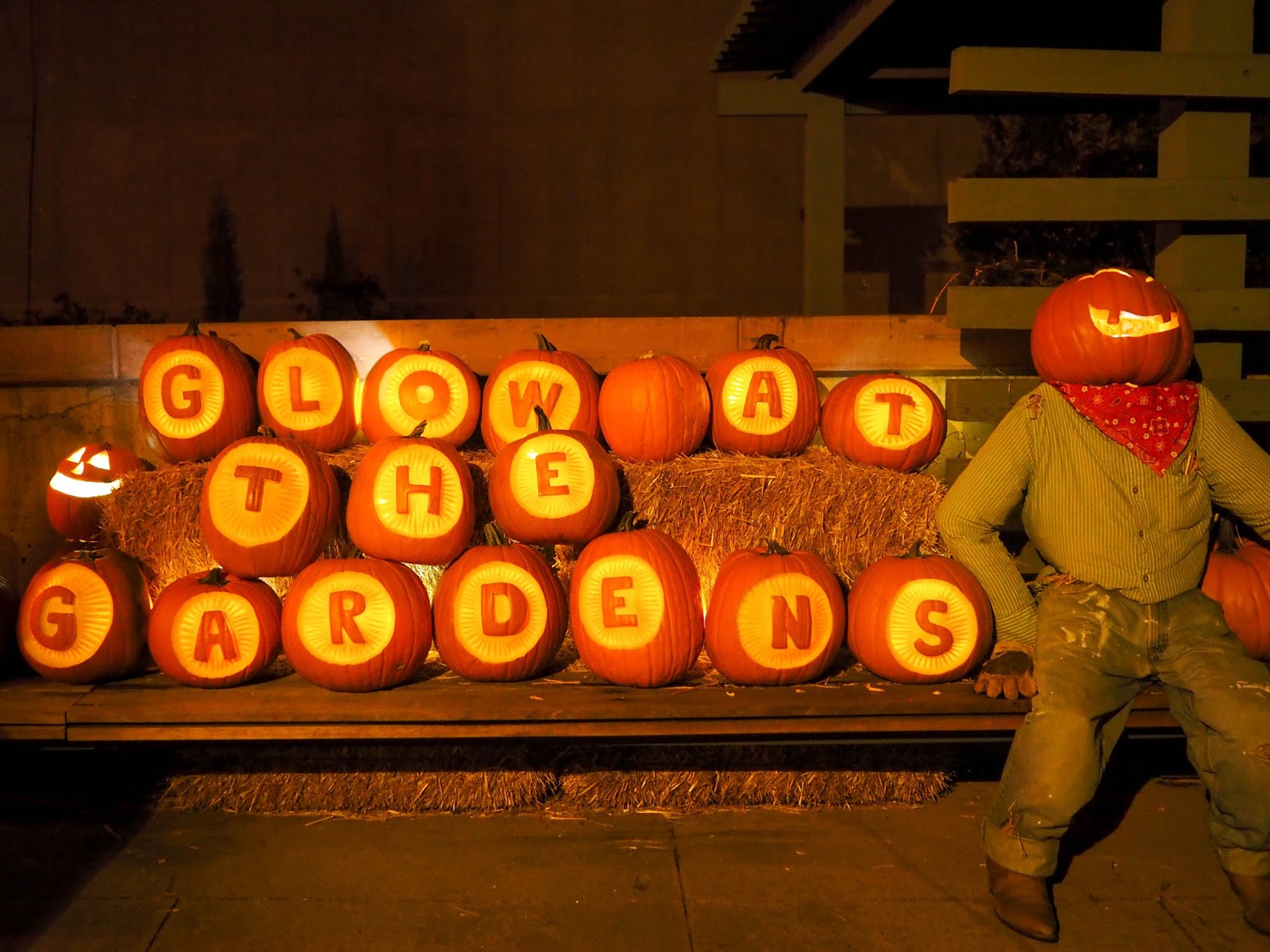 Little Hiccups Glow At The Gardens