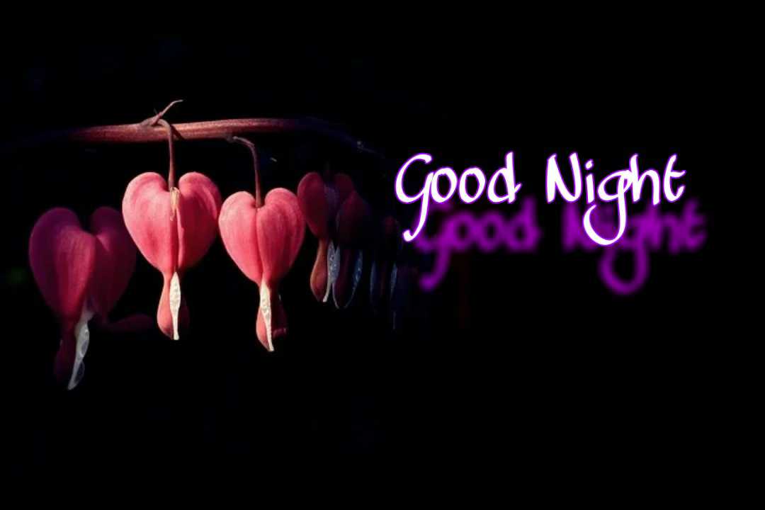 50+ most beautiful good night heart images free download 2020 ~ LATEST ...