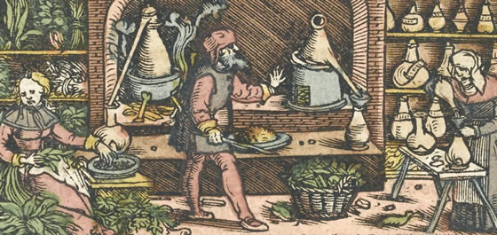 History of Herbs History of Herbs