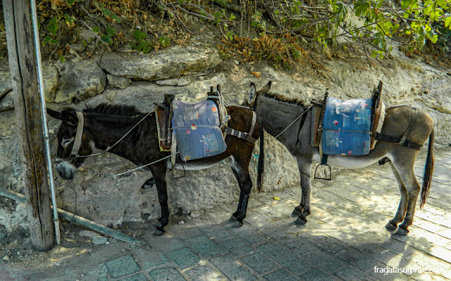 Burricos, o único meio de transporte na Vila de Lindos, na Ilha de Rodes