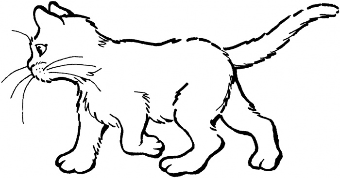 Cat Coloring Pages