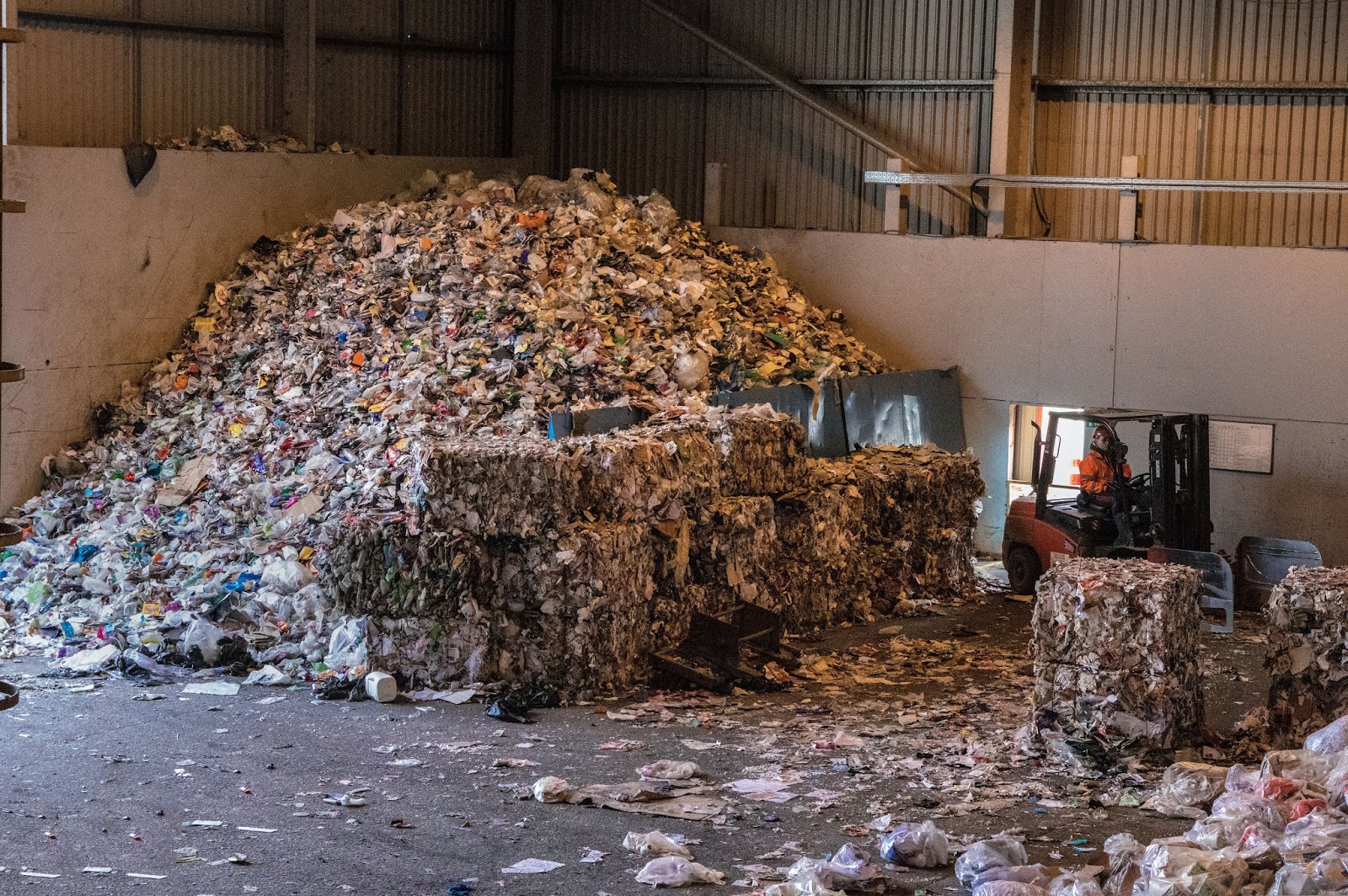 What Happens in a Recycling Plant?