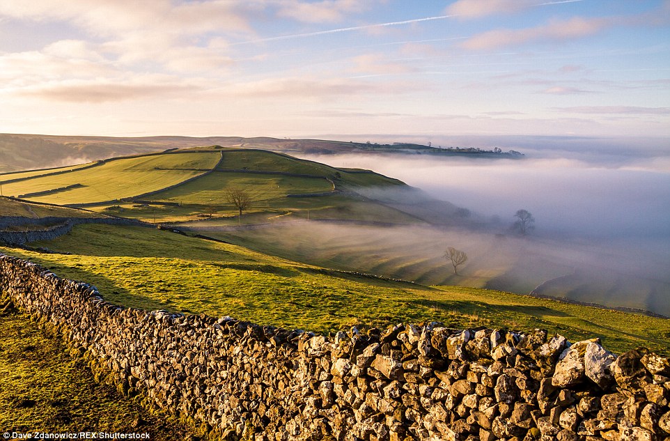 32EC5CB500000578-3528038-image-a-86_1460