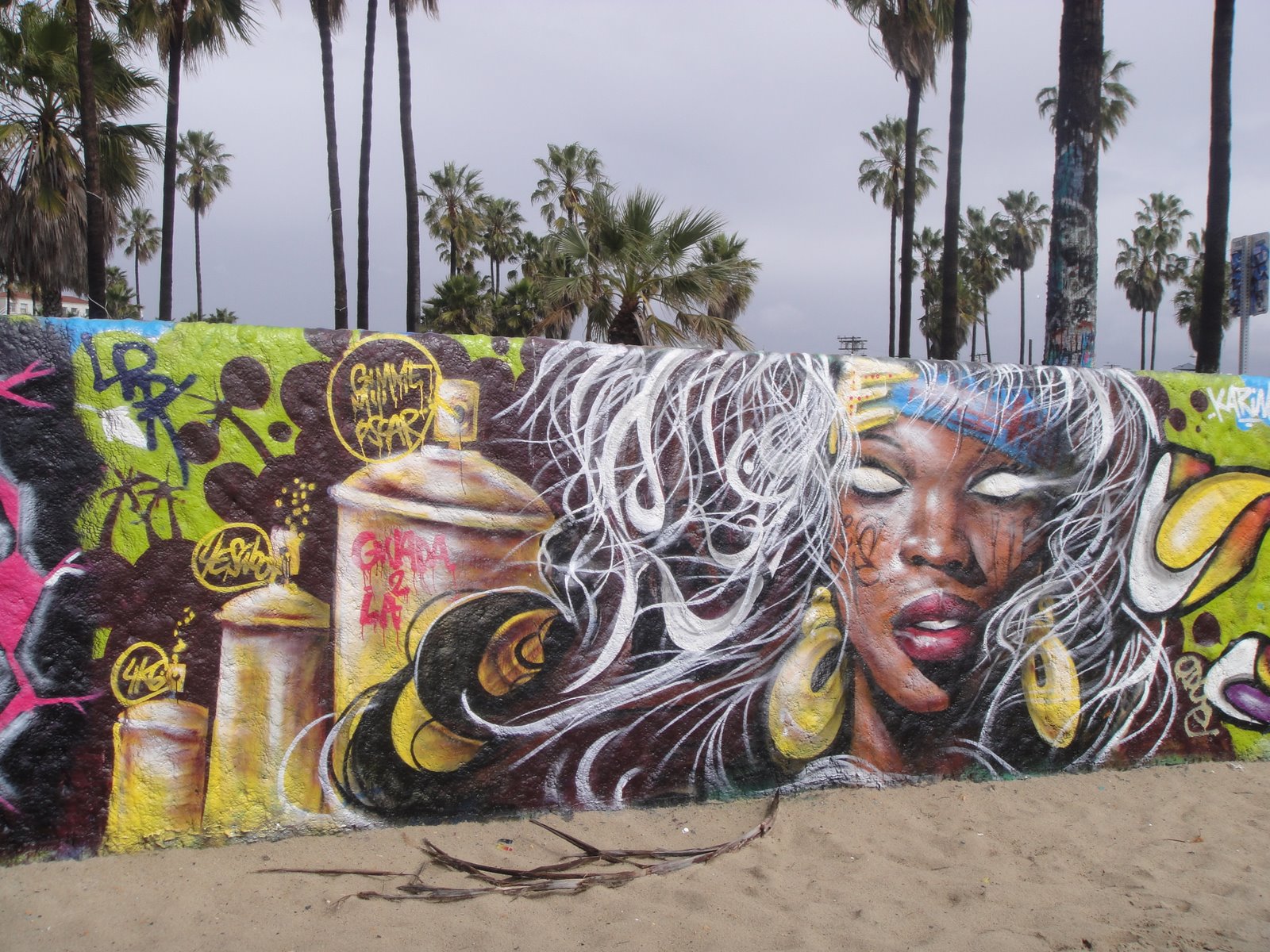 Denver Street Art: Venice Beach Public Art Walls
