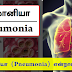 நிமோனியா (Pneumonia) என்றால் என்ன?