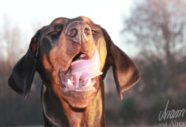 Die 129 Besten Bilder Zu Malerei In 2020 Malerei