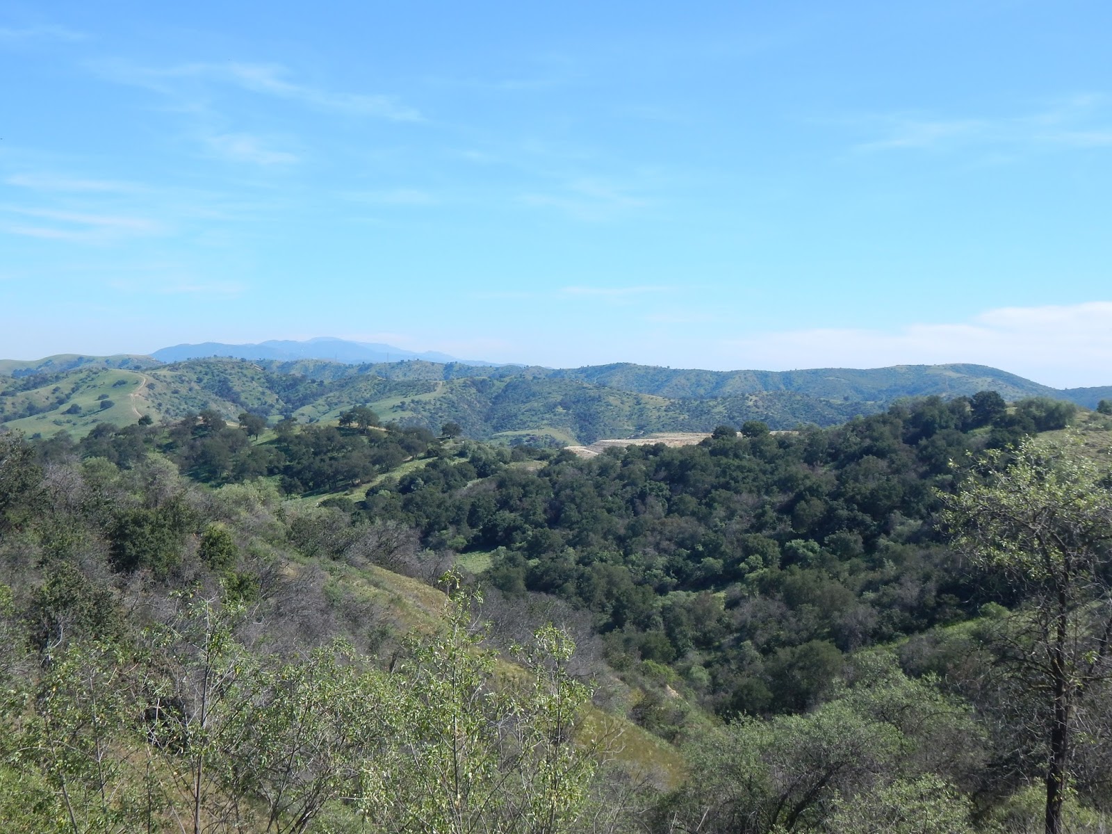 Carbon Canyon Chronicle A Ramble Through the Chino Hills North of