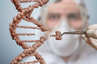 How Genetic Engineering Works
