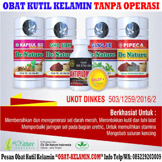 obat kutil kelamin