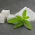 Study Finds Stevia Kills Lyme Disease Pathogen Better Than Antibiotics