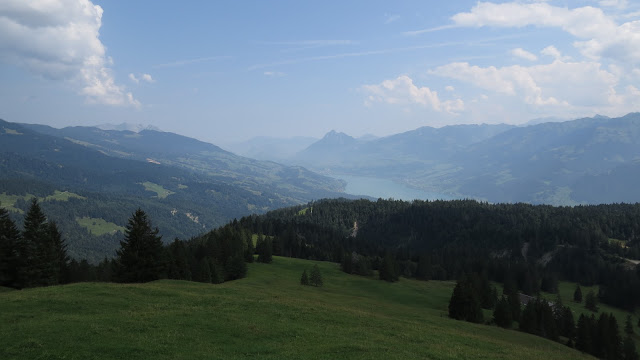 Suiza, Austria, Alemania. Agosto 2015 - Blogs de Europa Central - Día 5 (Giessbachfall, Lucerna) (6)